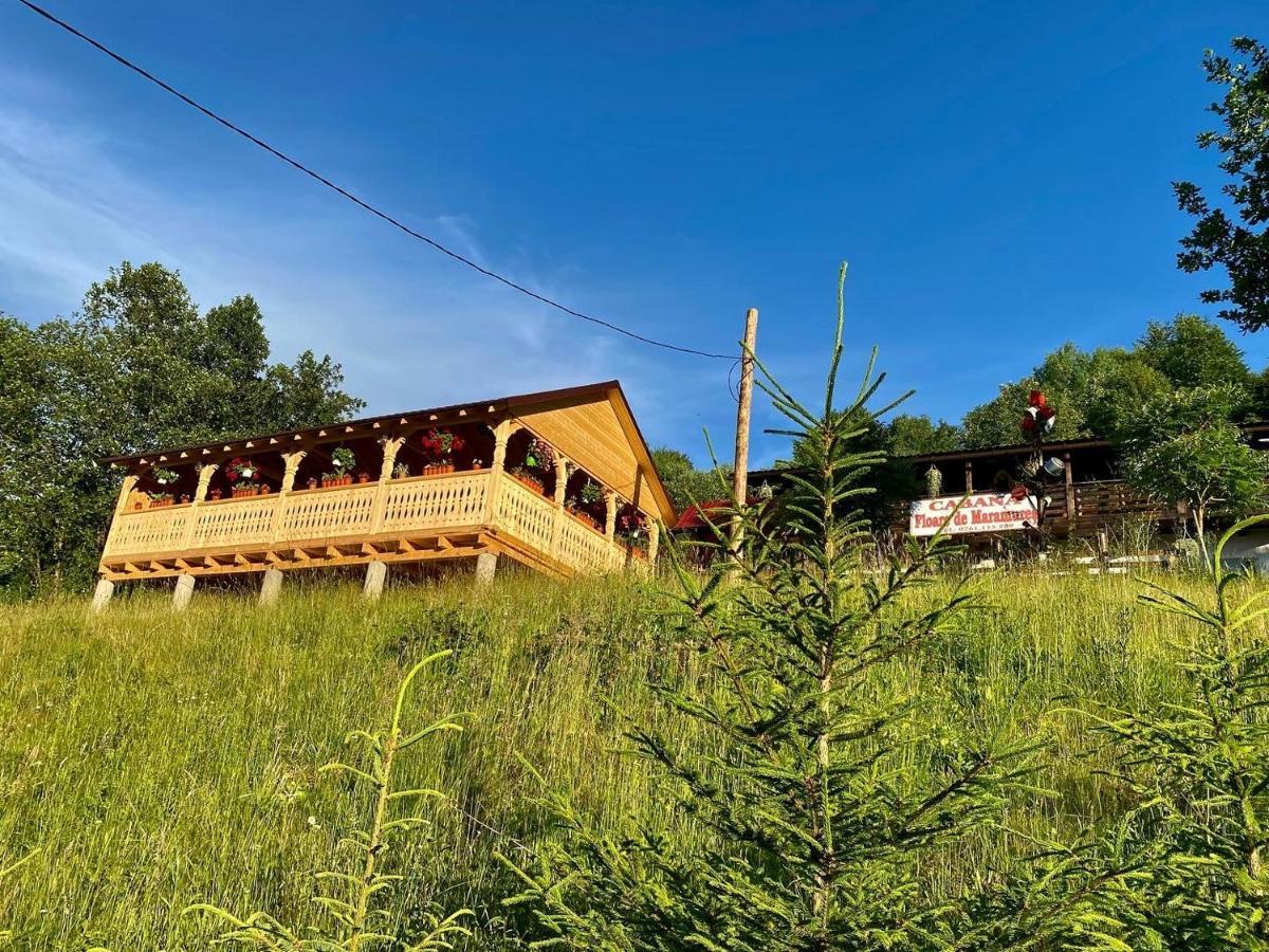 Floare De Maramures 2 シゲトゥ・マルマツィエイ エクステリア 写真