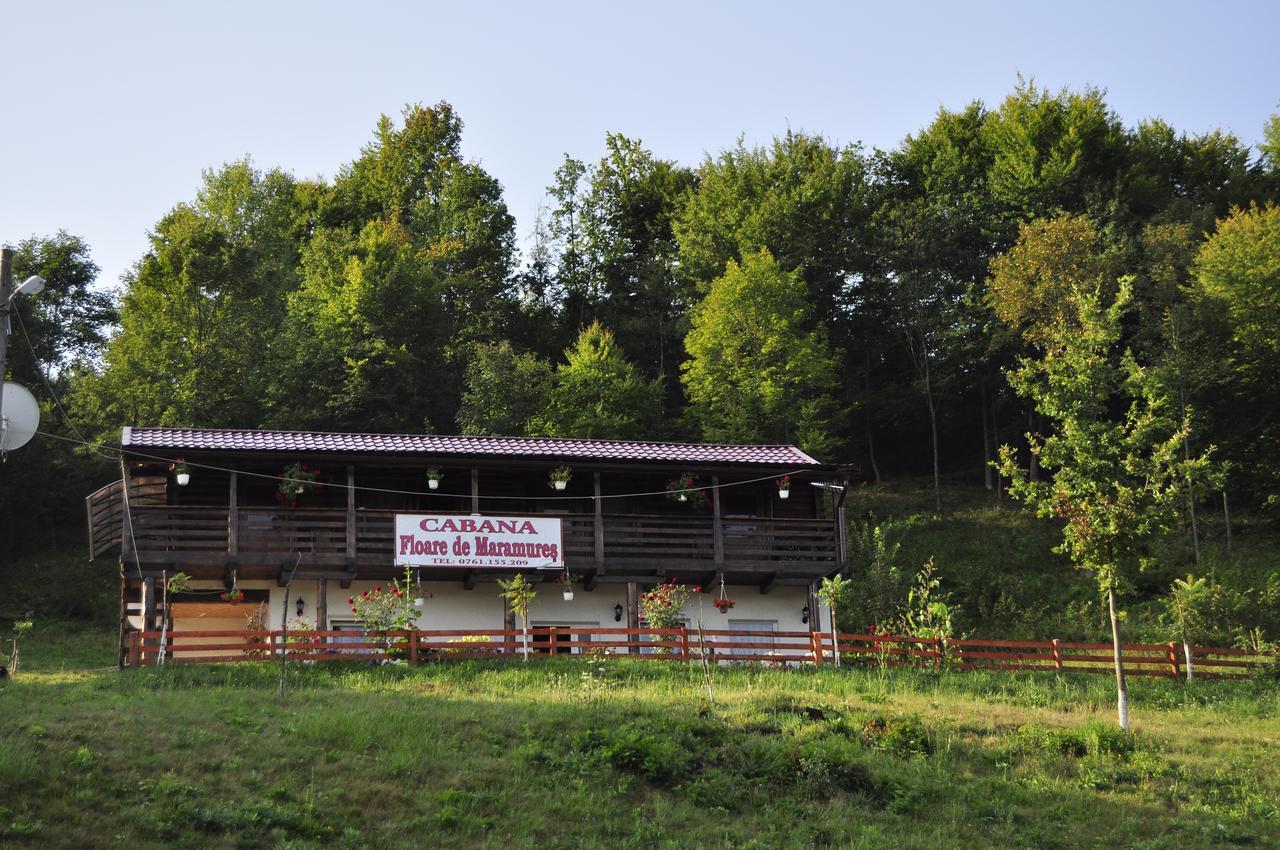 Floare De Maramures 2 シゲトゥ・マルマツィエイ エクステリア 写真