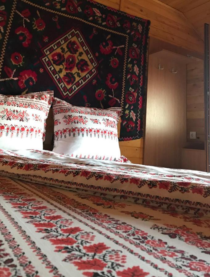 Floare De Maramures 2 シゲトゥ・マルマツィエイ エクステリア 写真