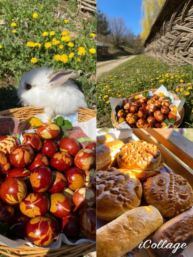 Floare De Maramures 2 シゲトゥ・マルマツィエイ エクステリア 写真